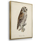 French Owls I - Framed Premium Gallery Wrapped Canvas L Frame 3 Piece Set - Ready to Hang