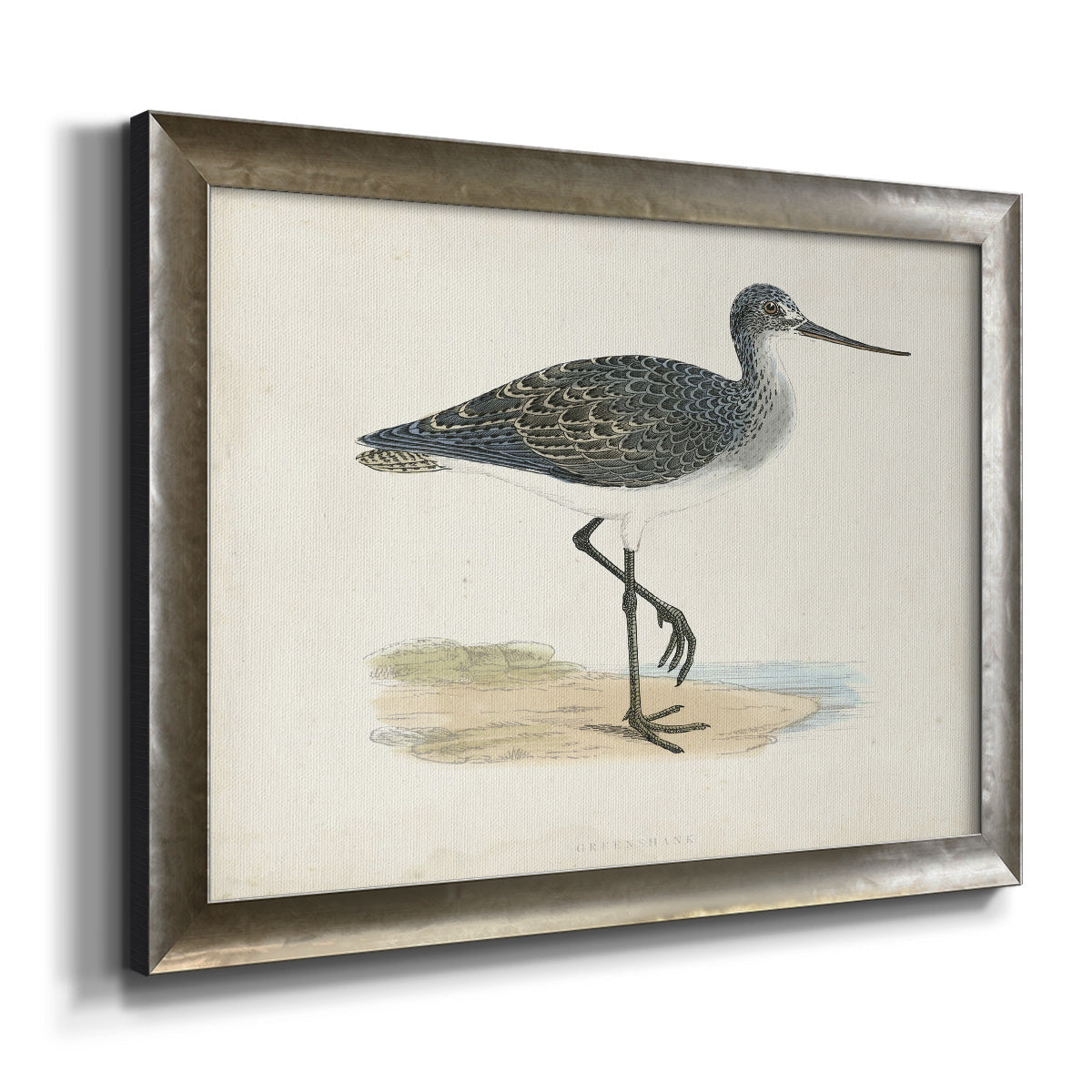 Morris Sandpipers III Premium Framed Canvas- Ready to Hang