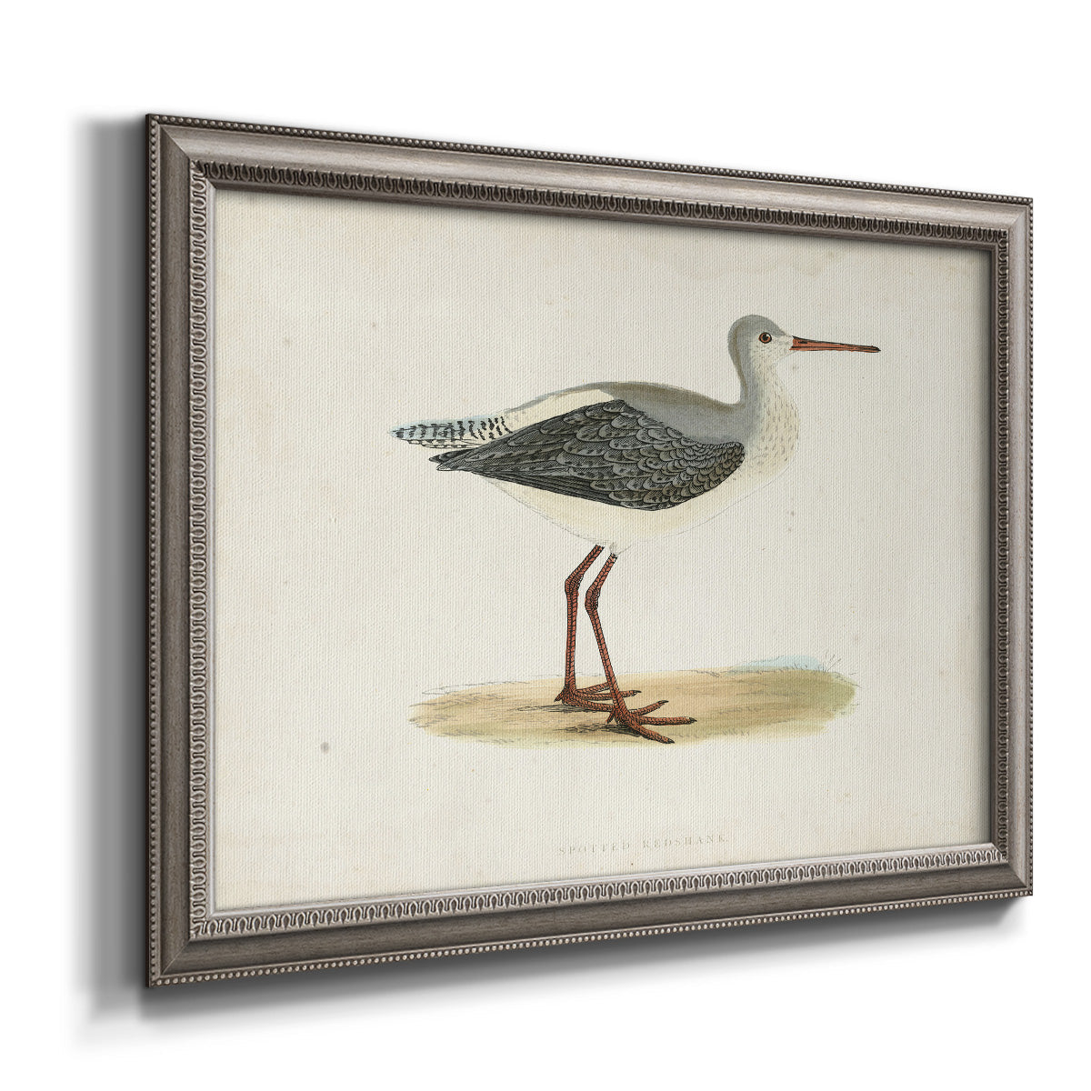 Morris Sandpipers I Premium Framed Canvas- Ready to Hang