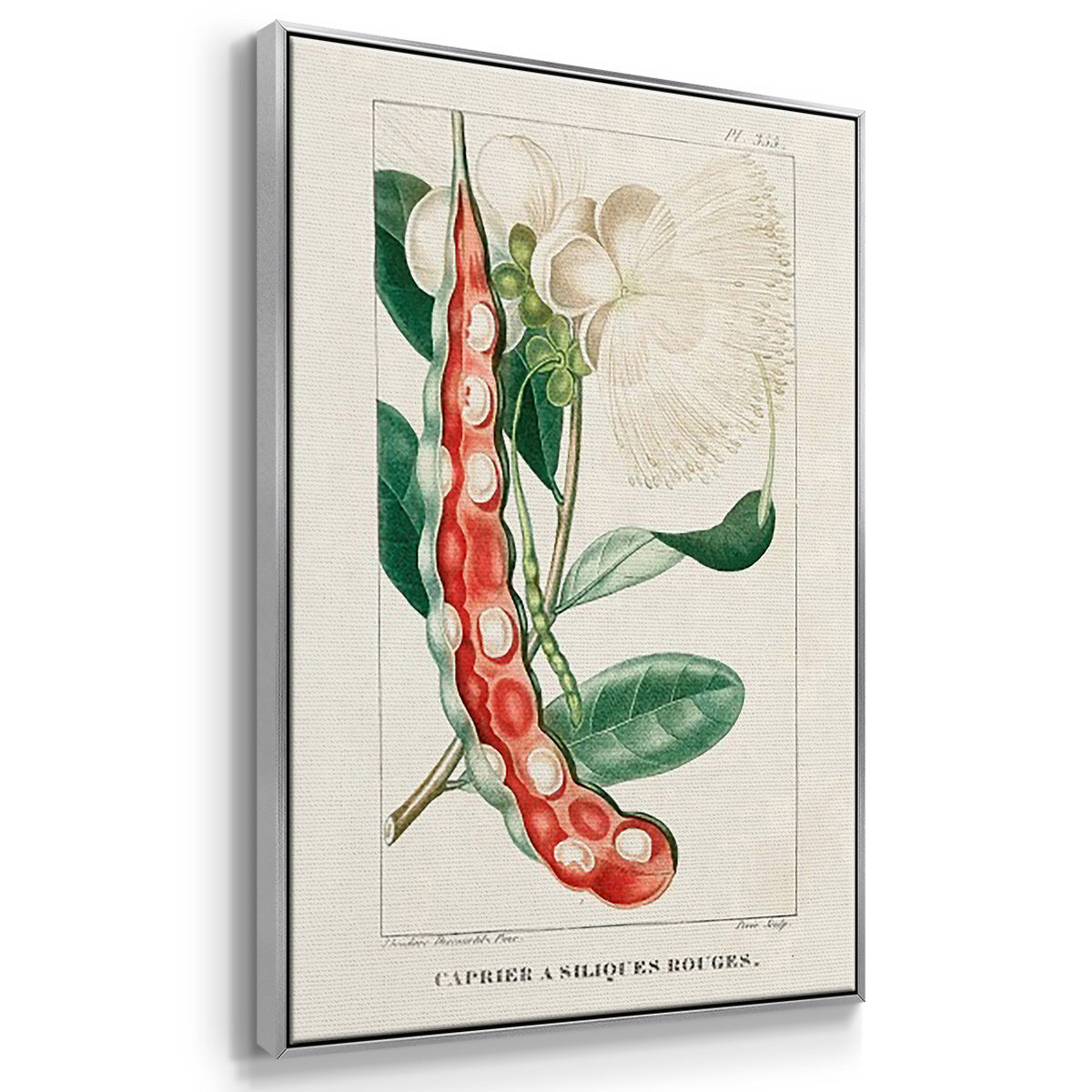 Turpin Tropical Botanicals VI - Framed Premium Gallery Wrapped Canvas L Frame 3 Piece Set - Ready to Hang