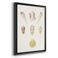 Pastel Knorr Shells I - Modern Framed Canvas Print