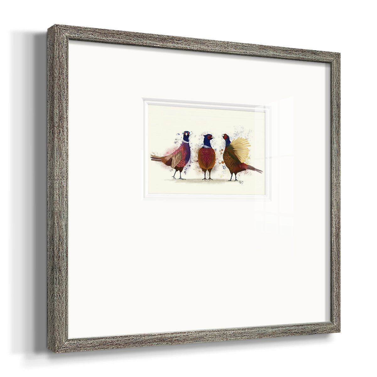 Pheasant Trio Premium Framed Print Double Matboard