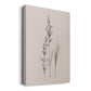 Delicate Stems I - Canvas Art Print