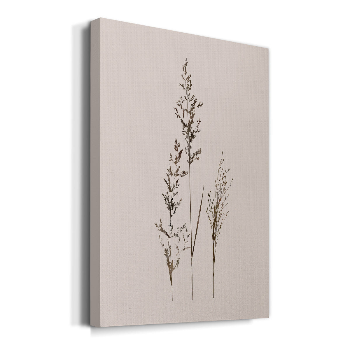Delicate Stems I - Canvas Art Print