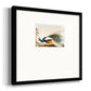 Golden Peacock Premium Framed Print Double Matboard