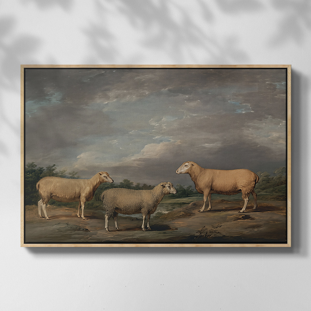Ryelands Sheep, the King's Ram, the King's Ewe and Lord Somerville's Wether, c. 1801-1807 - Floater Framed Canvas Print