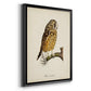 French Owls II - Modern Framed Canvas Print