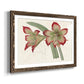 Amaryllis Varietals IV-Premium Framed Print - Ready to Hang