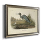 Audubons Blue Heron Premium Framed Canvas- Ready to Hang