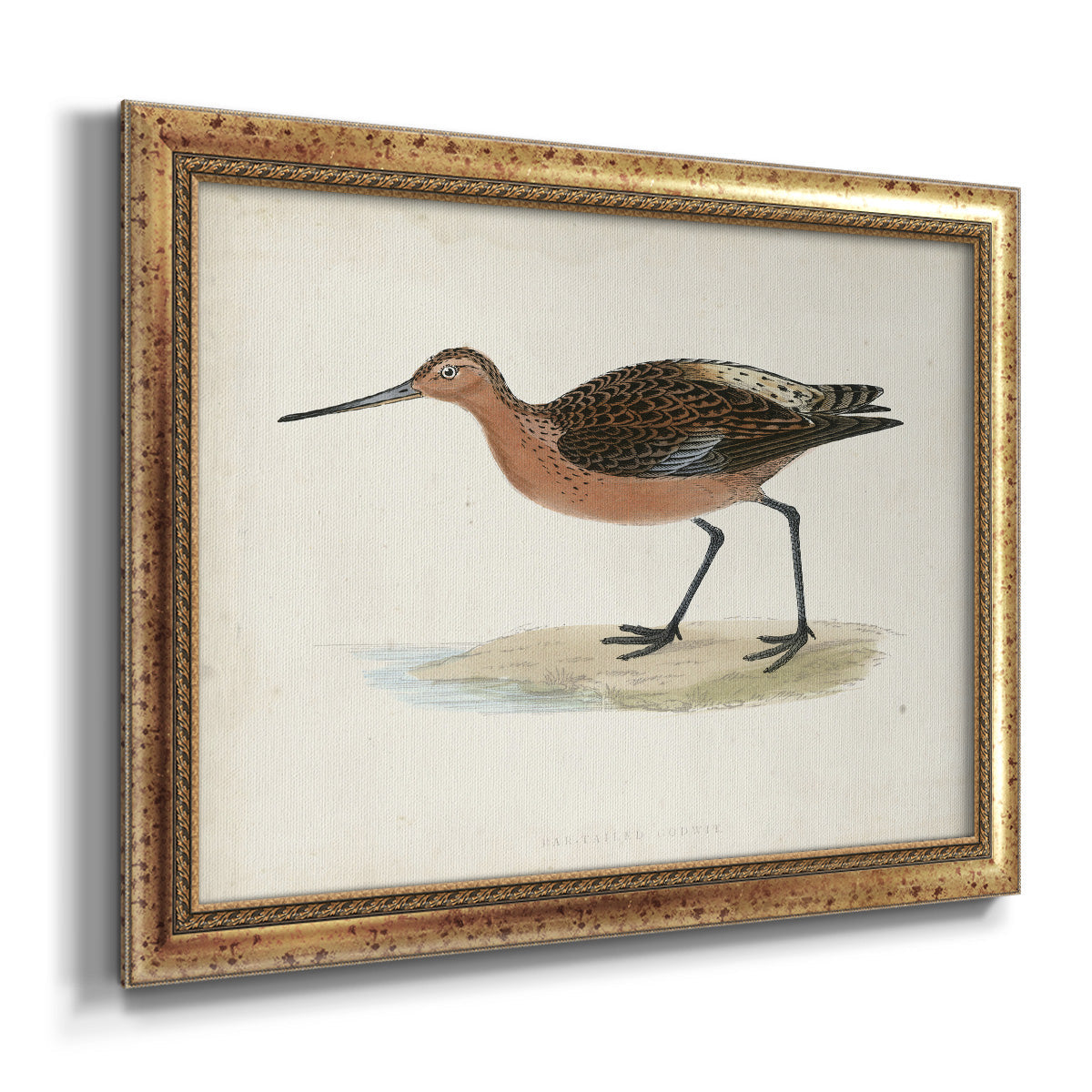 Morris Sandpipers II Premium Framed Canvas- Ready to Hang