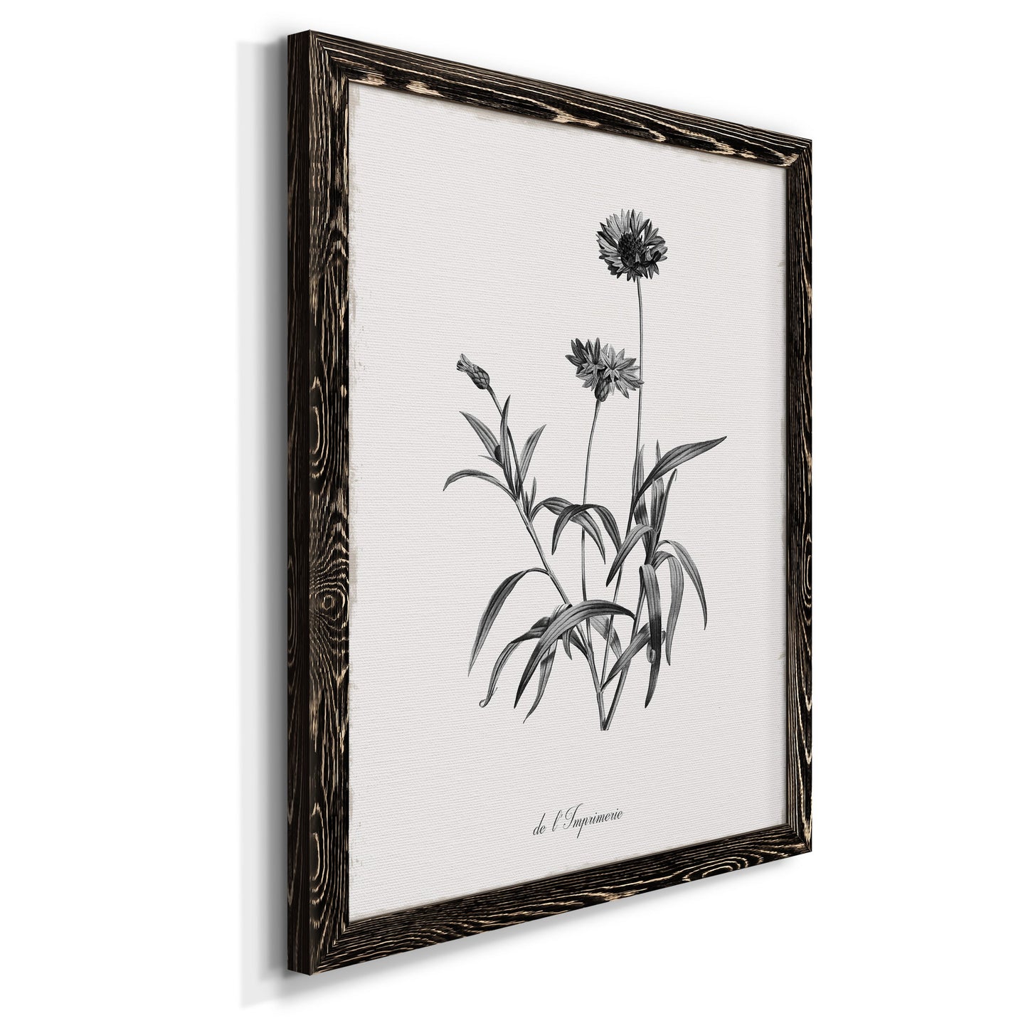 Simply Imperial - Premium Canvas Framed in Barnwood - Ready to Hang