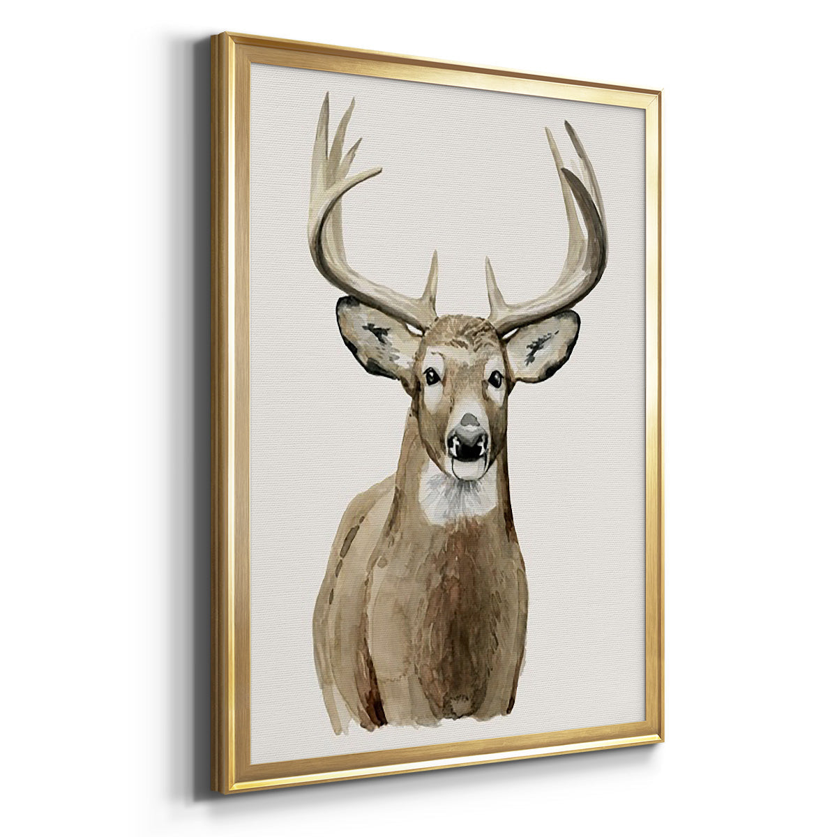 Handsome Whitetail II - Modern Framed Canvas Print