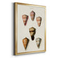 Cone Shell Collection IV - Modern Framed Canvas Print