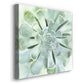 Verdant Succulent IV-Premium Gallery Wrapped Canvas - Ready to Hang