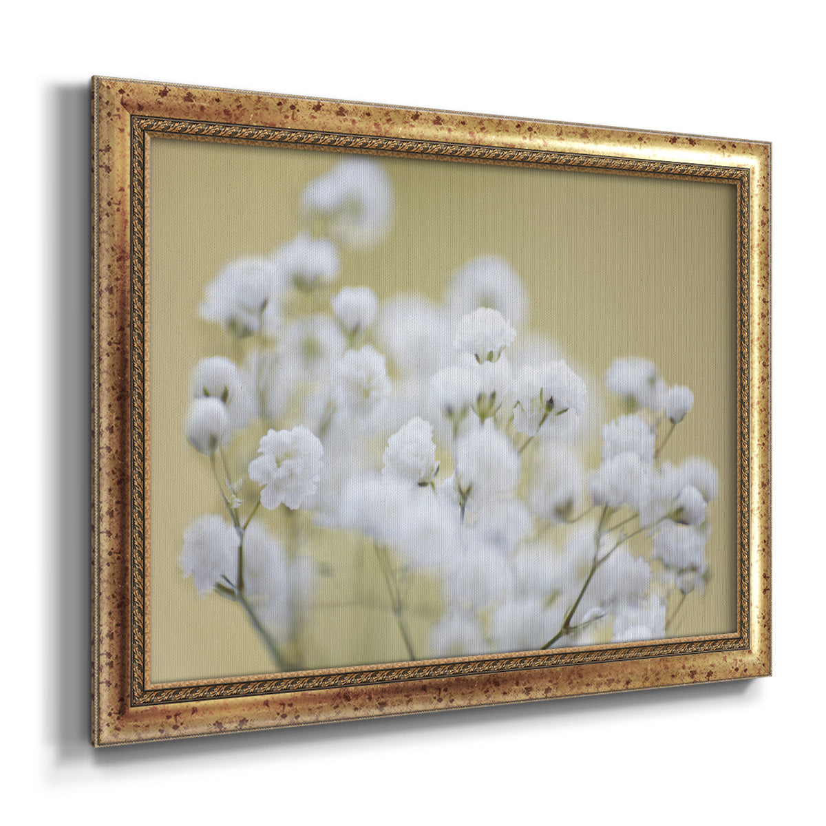 Baby's Breath Study III Premium Framed Canvas- Ready to Hang