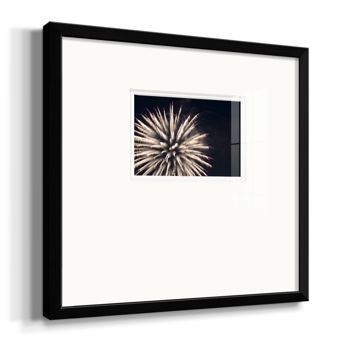 Sky Bloom- Premium Framed Print Double Matboard