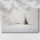 Silver Silence of Fir - Canvas Art Print