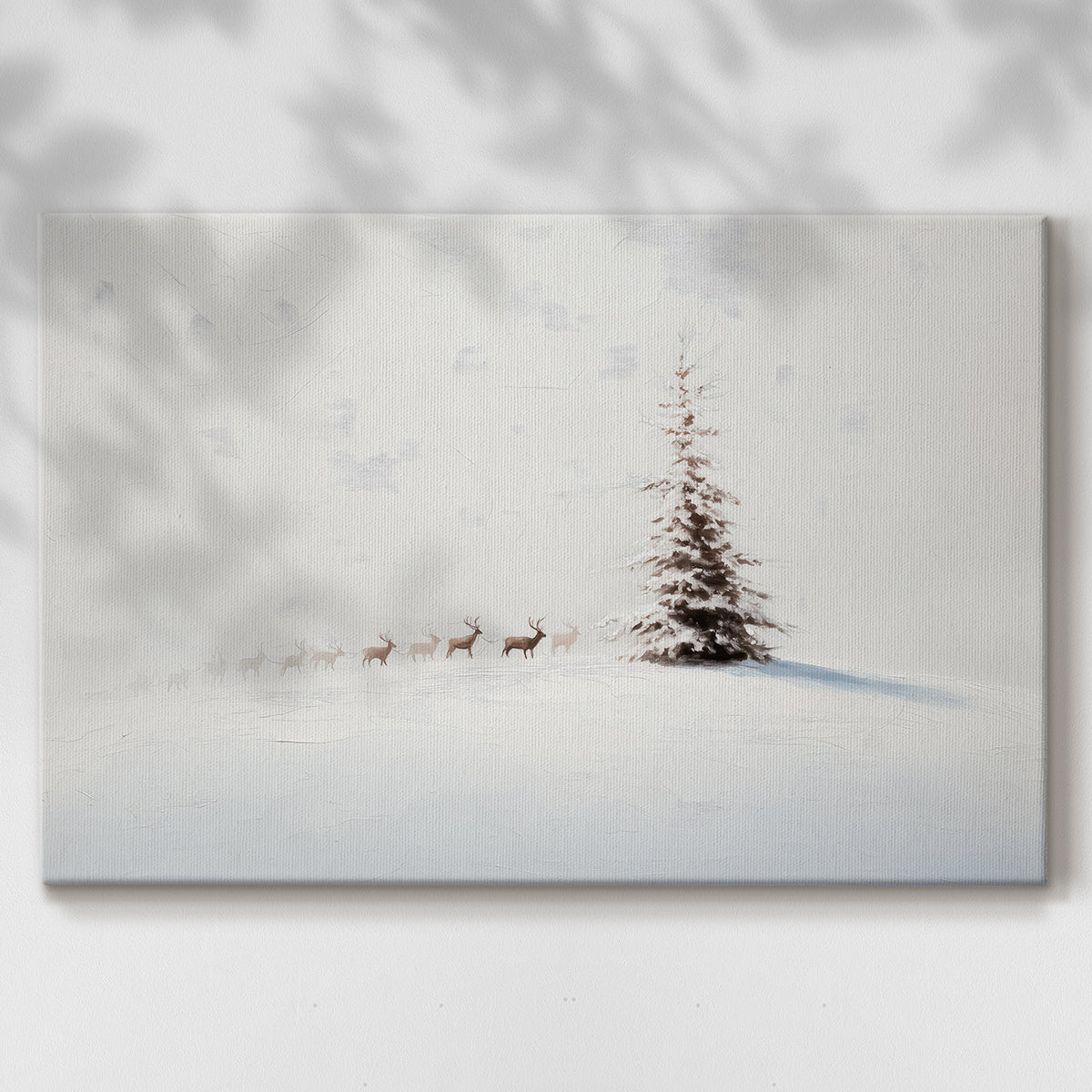 Silver Silence of Fir - Canvas Art Print