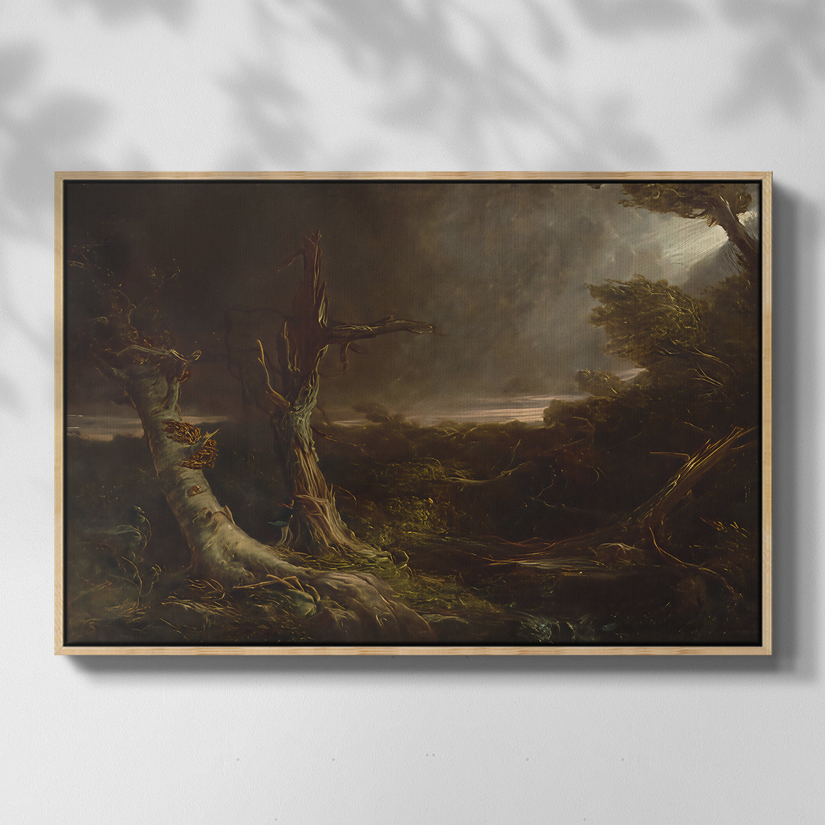 Tornado in an American Forest, 1835 - Floater Framed Canvas Print