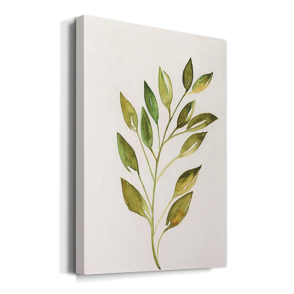 Single Twig I - Canvas Art Print