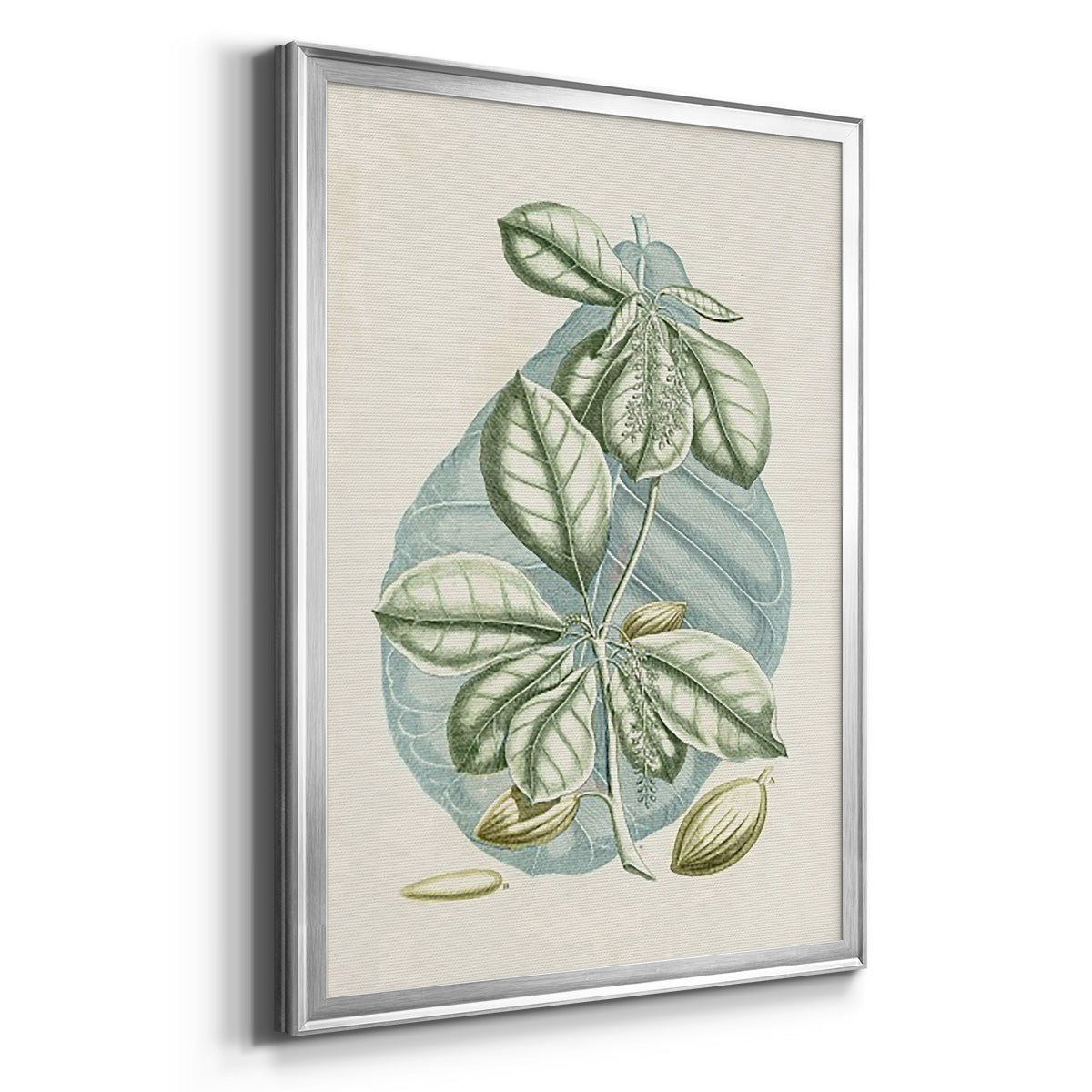 Buchoz Tropicals VI - Modern Framed Canvas Print