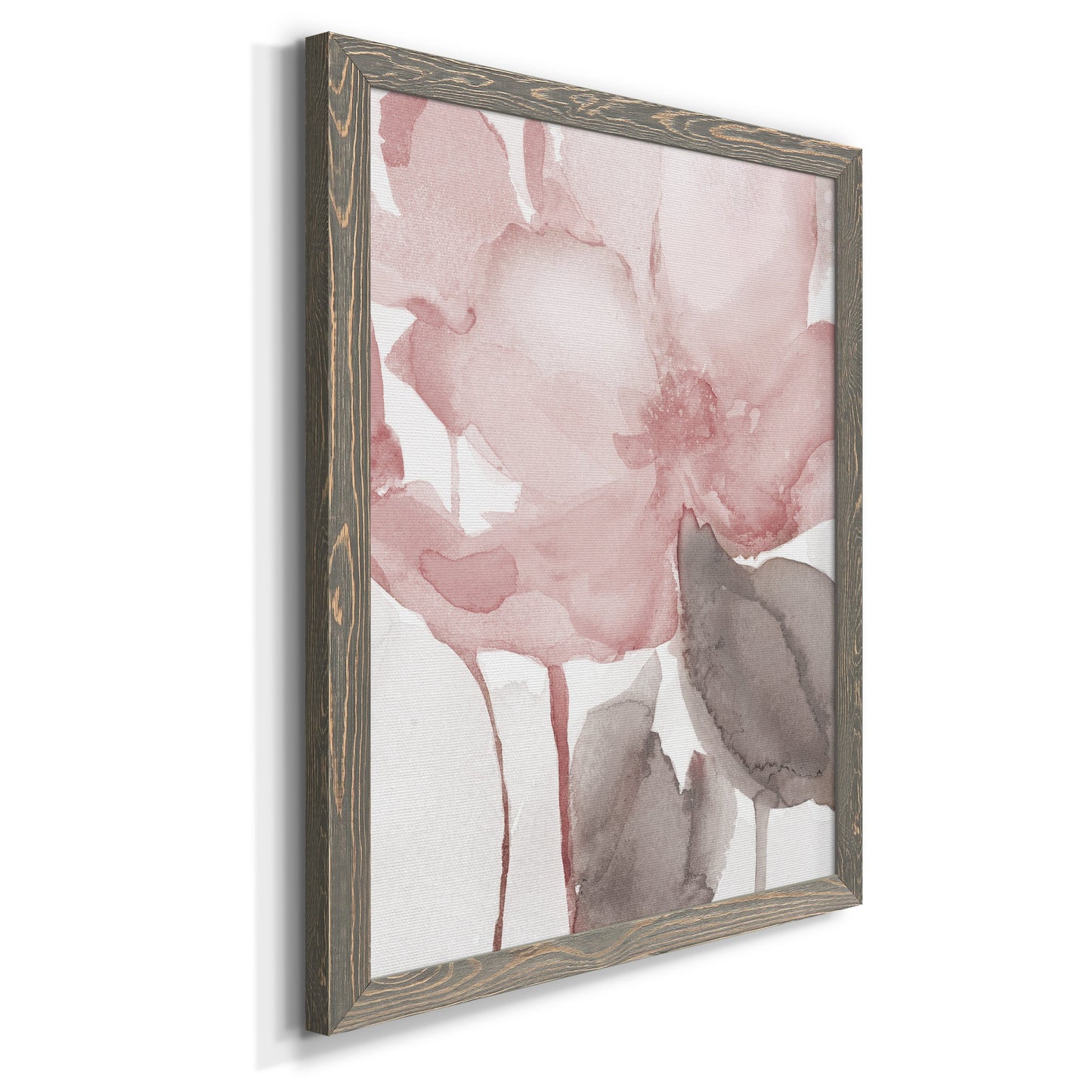 Blush Bloom II - Premium Canvas Framed in Barnwood - Ready to Hang