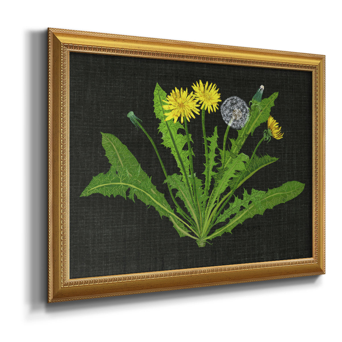 Wild Dandelion II Premium Framed Canvas- Ready to Hang