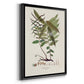 Botanical Society Ferns VI - Modern Framed Canvas Print