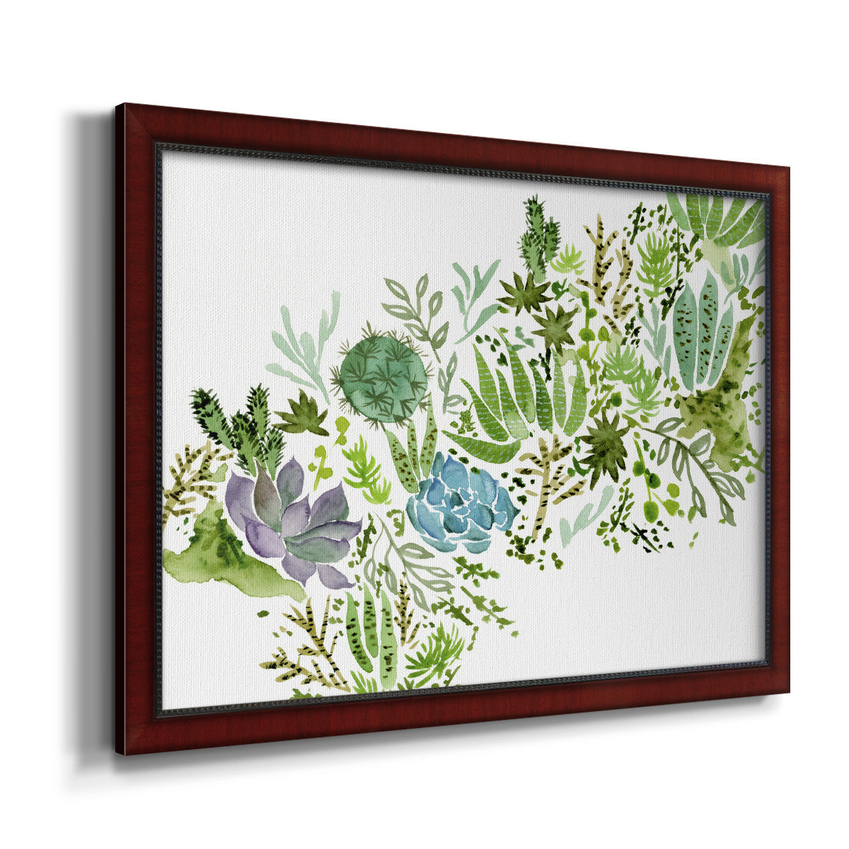 Succulent Field I Premium Framed Canvas- Ready to Hang