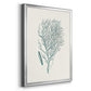 Antique Coastal Coral I - Modern Framed Canvas Print