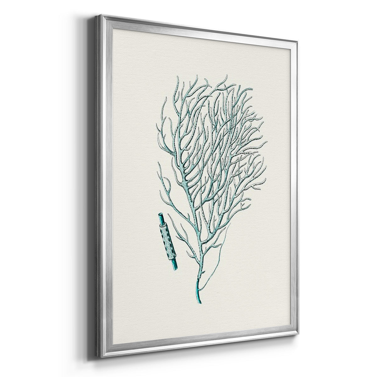 Antique Coastal Coral I - Modern Framed Canvas Print