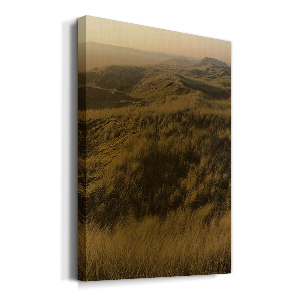Golden Fog I - Canvas Art Print