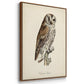 French Owls I - Framed Premium Gallery Wrapped Canvas L Frame 3 Piece Set - Ready to Hang