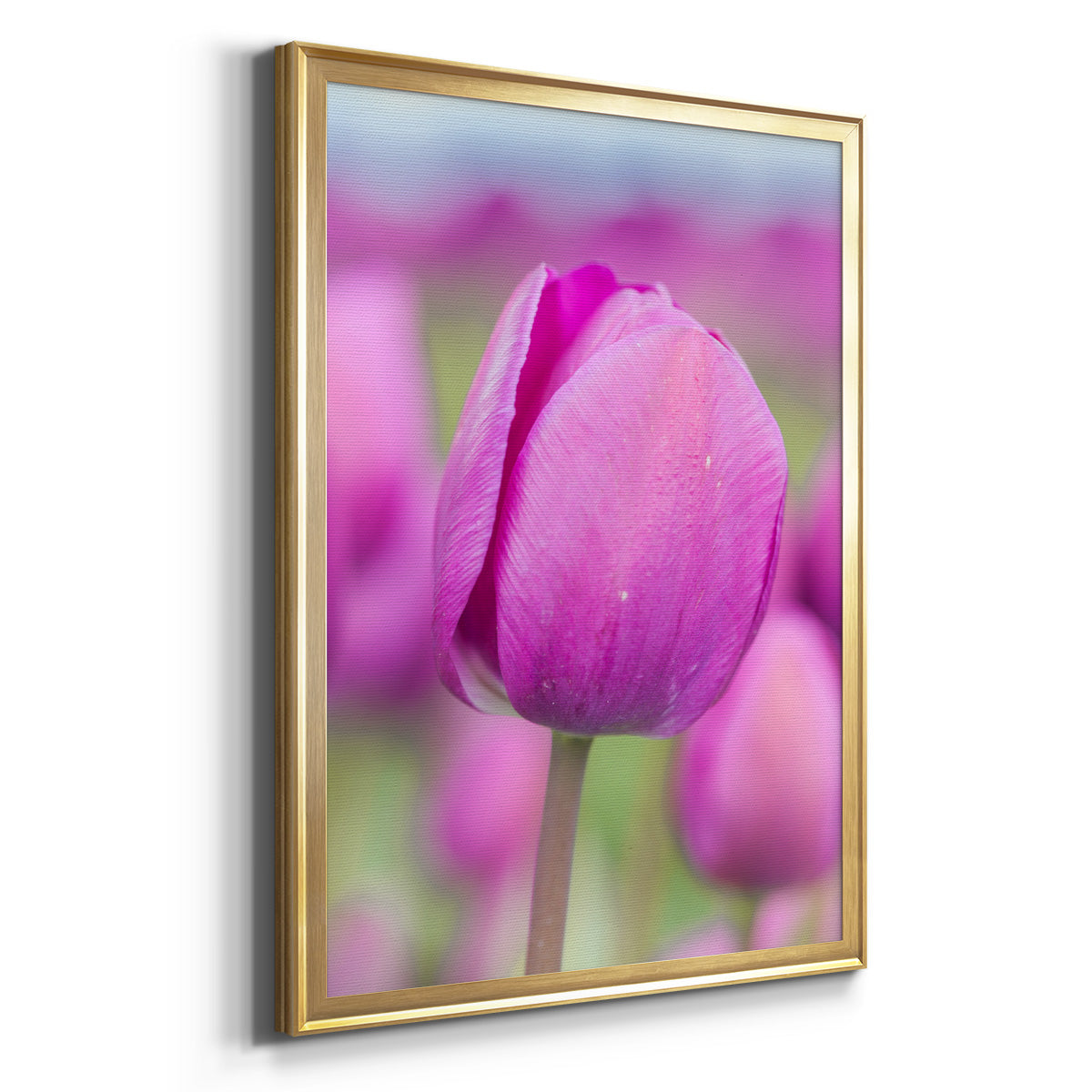 Magenta Stem - Modern Framed Canvas Print