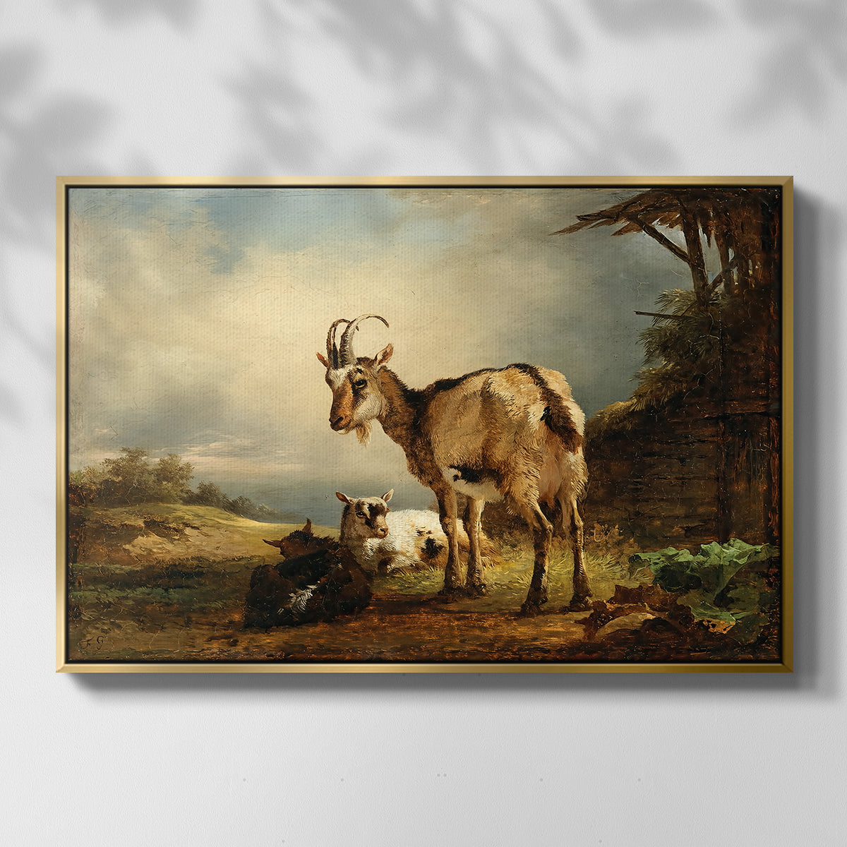 A Goat with Two Kids - Floater Framed Canvas Print