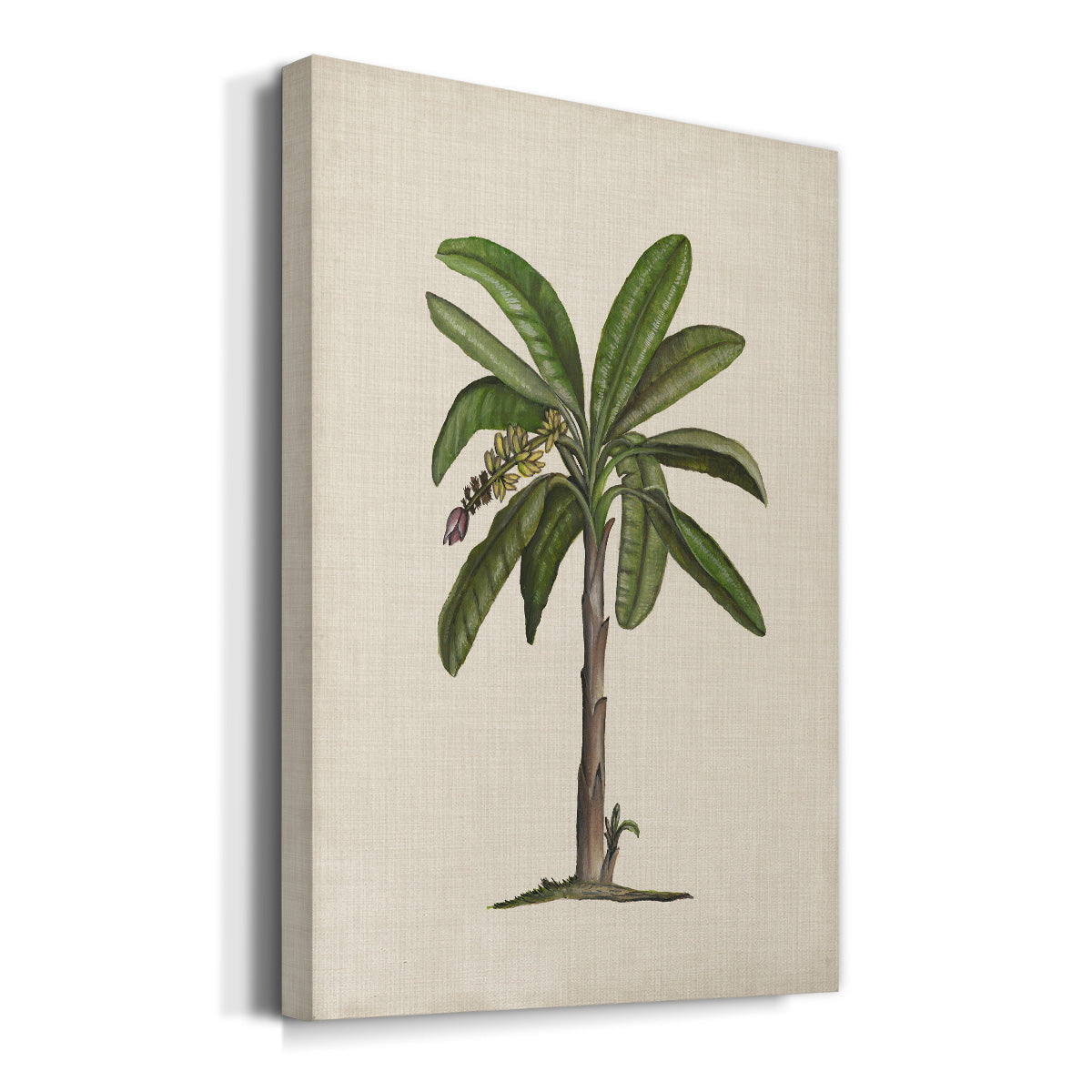 UA CH British Palms II Premium Gallery Wrapped Canvas - Ready to Hang