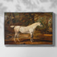Grey Arabian Stallion, Property of Sir Watkin Williams-Wynn, c. 1817 - Floater Framed Canvas Print