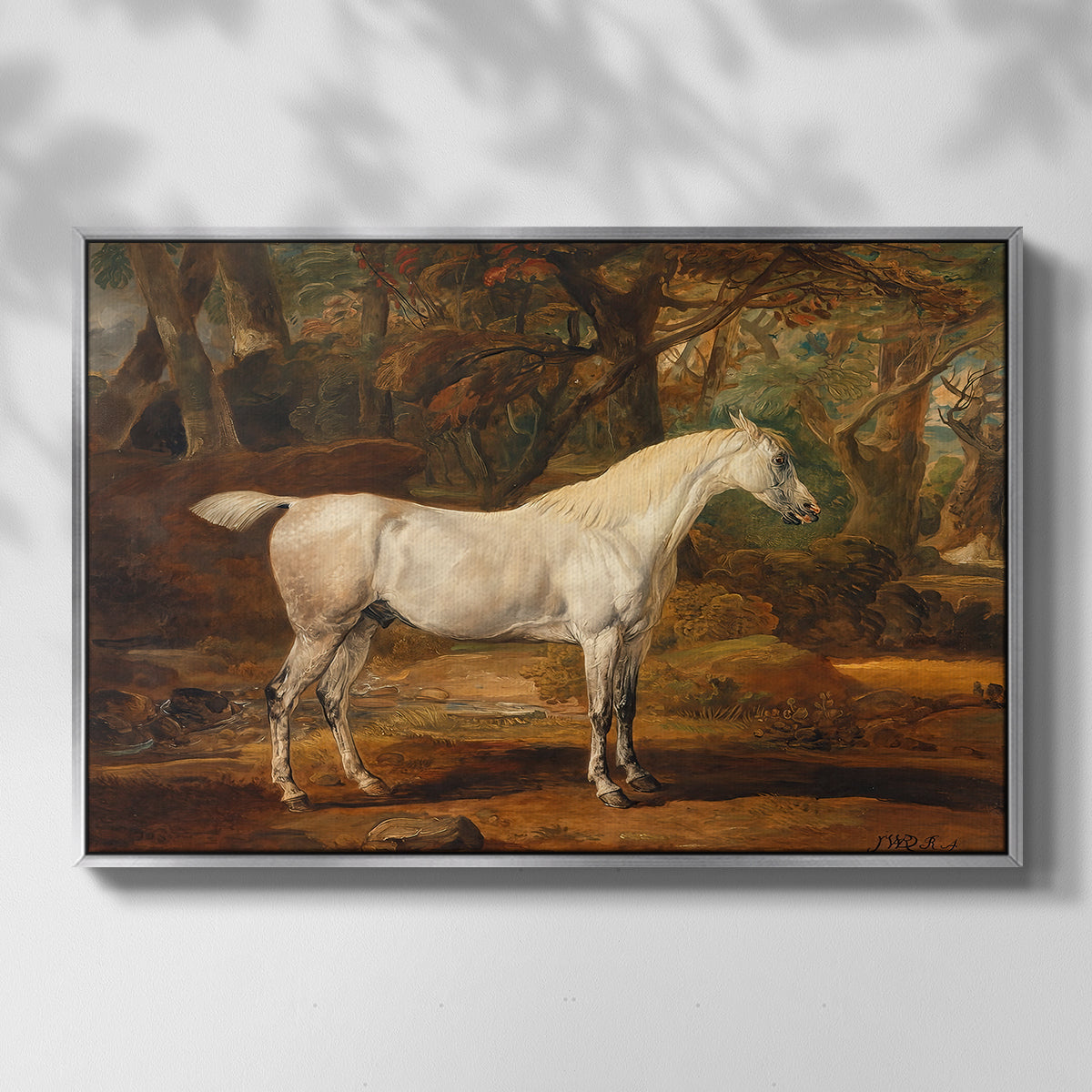Grey Arabian Stallion, Property of Sir Watkin Williams-Wynn, c. 1817 - Floater Framed Canvas Print
