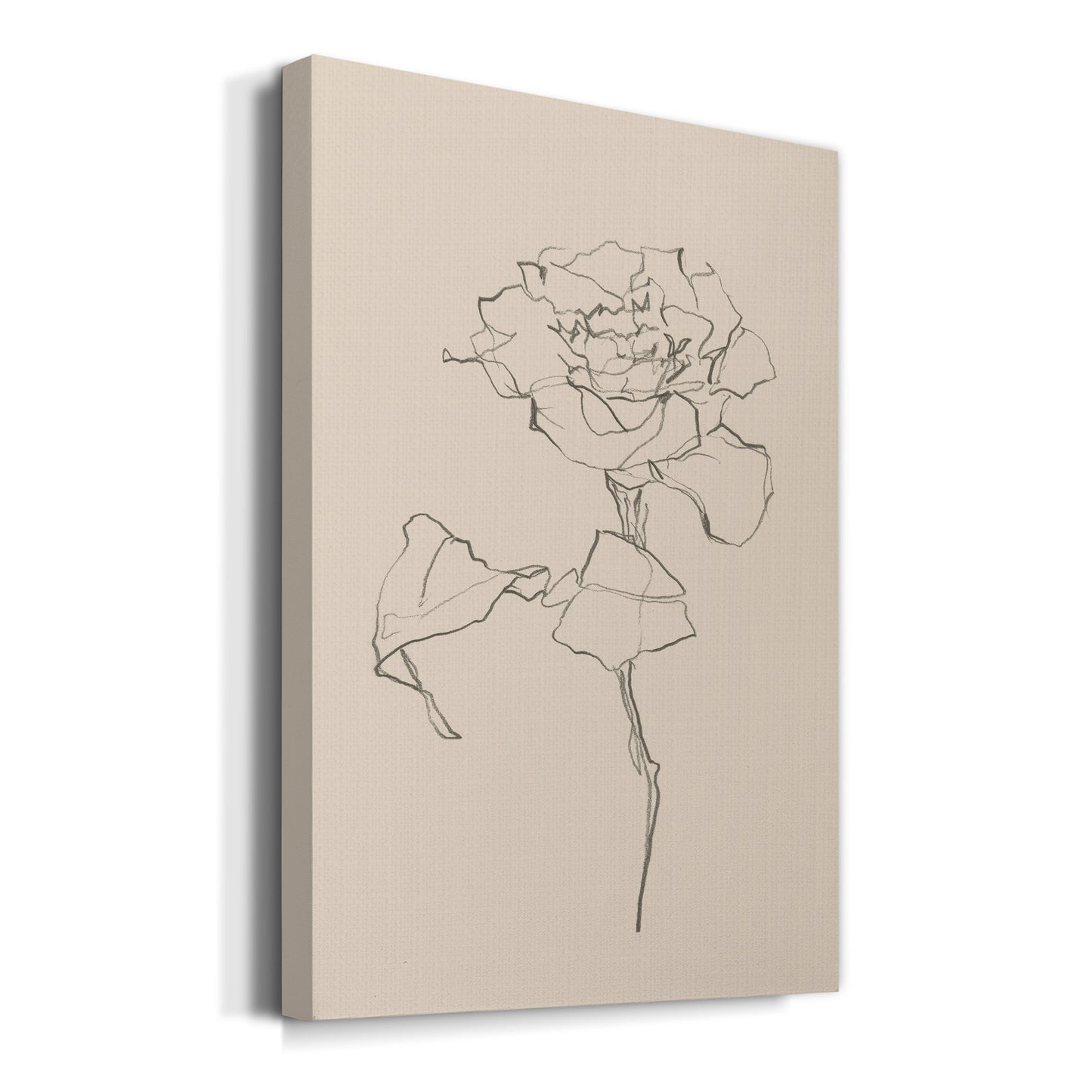 Floral Contour Study I Premium Gallery Wrapped Canvas - Ready to Hang