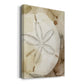 Dry Sand Dollar I Premium Gallery Wrapped Canvas - Ready to Hang