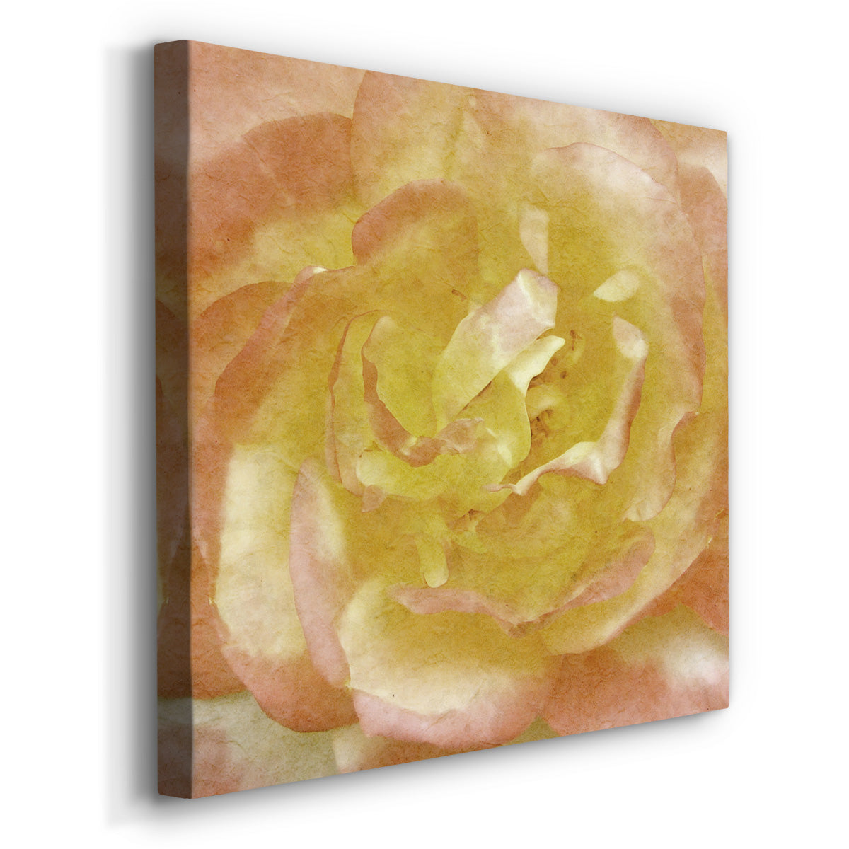 Wall Flower I-Premium Gallery Wrapped Canvas - Ready to Hang