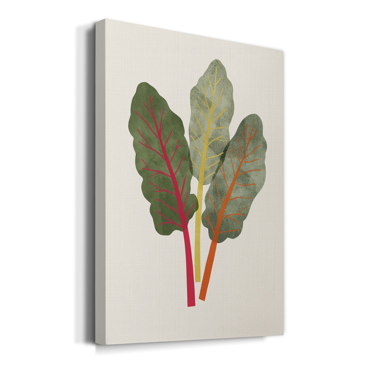 Organic Veg V Premium Gallery Wrapped Canvas - Ready to Hang