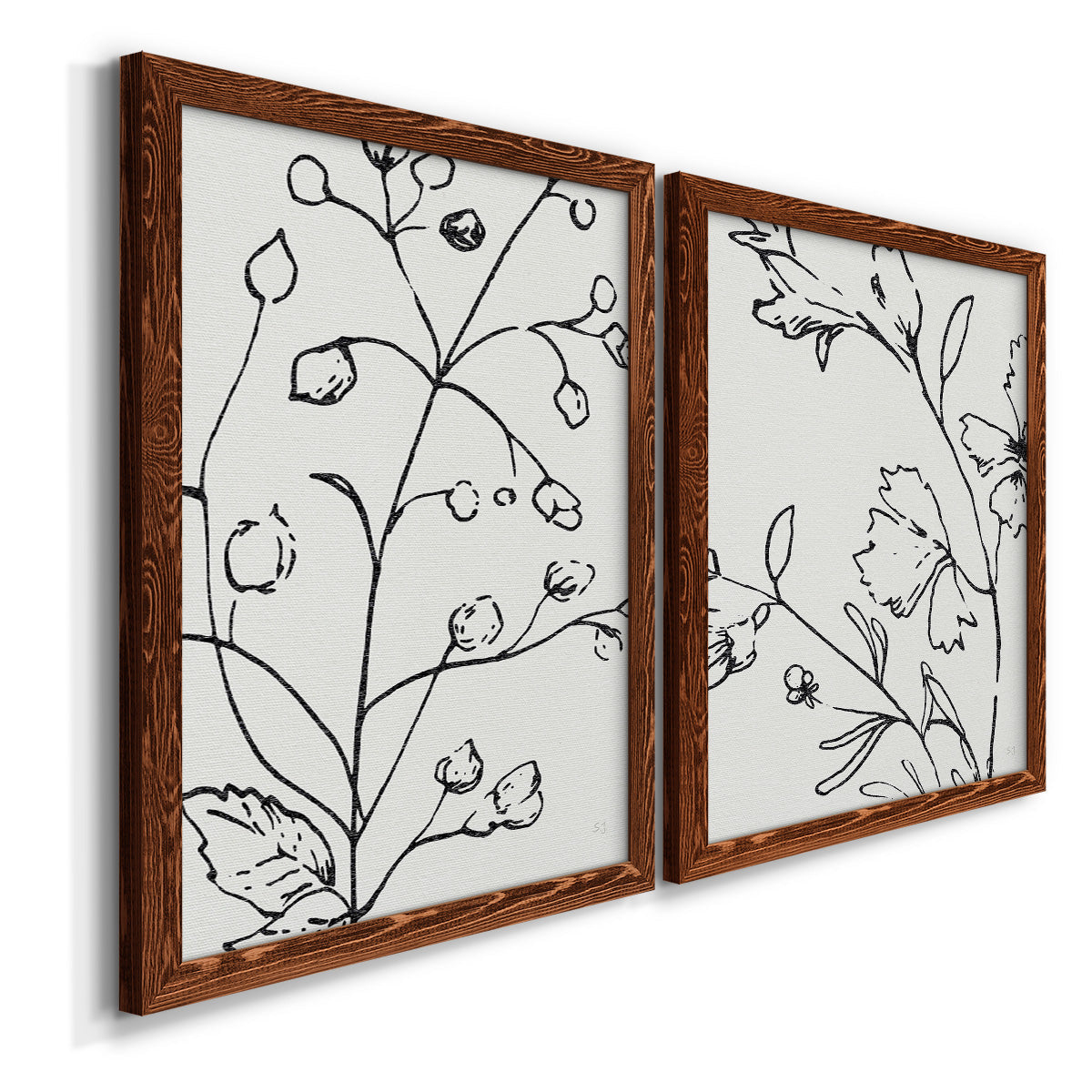 Botanical Sketch I   - Premium Framed Canvas 2 Piece Set - Ready to Hang