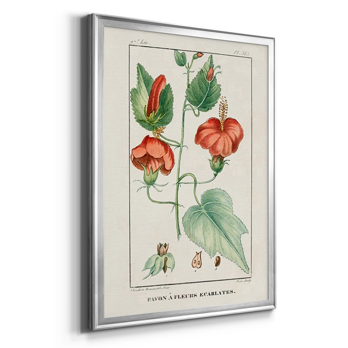 Turpin Tropical Botanicals IV - Modern Framed Canvas Print