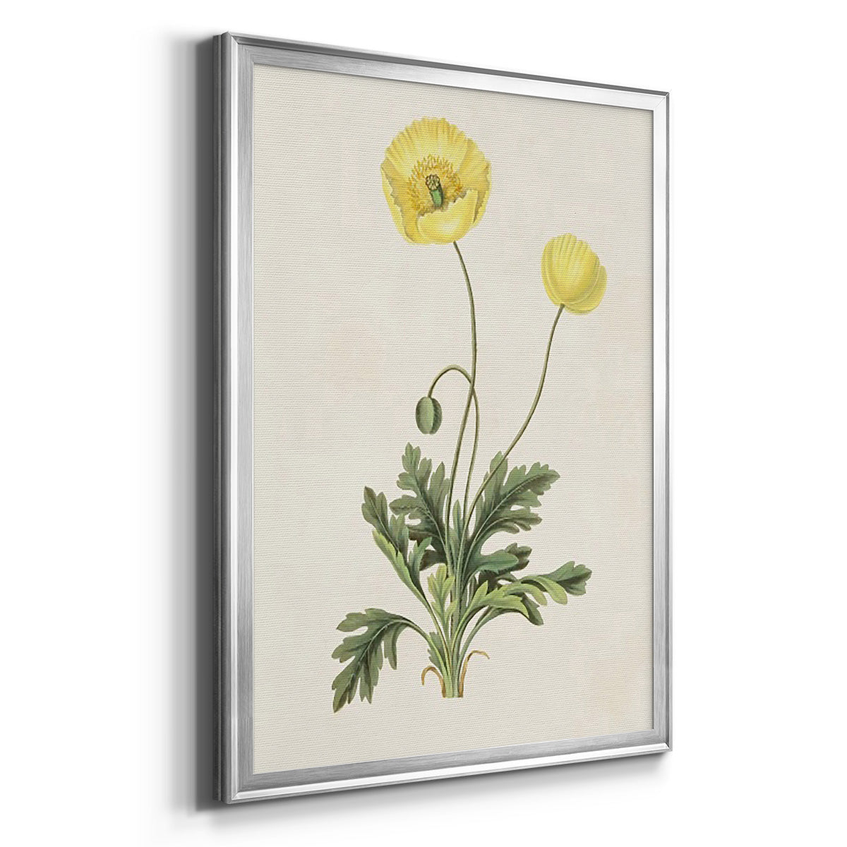 Flowers of the Seasons XII - Modern Framed Canvas Print