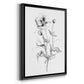 Wild Poppy Sketch - Modern Framed Canvas Print