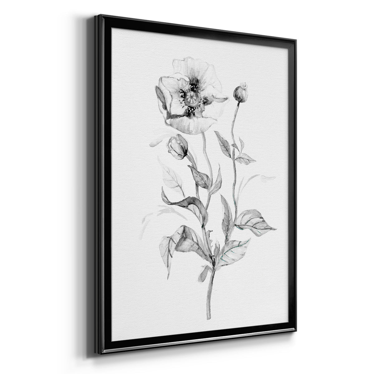 Wild Poppy Sketch - Modern Framed Canvas Print