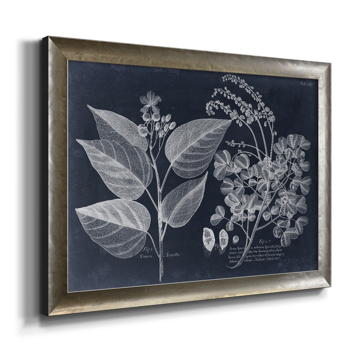 Foliage on Navy III Premium Framed Canvas- Ready to Hang