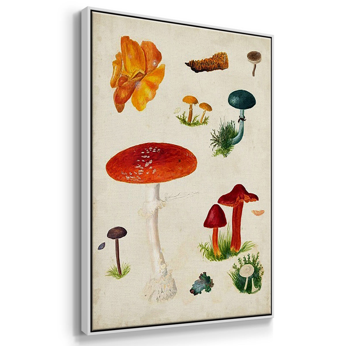 Mushroom Species VI - Framed Premium Gallery Wrapped Canvas L Frame 3 Piece Set - Ready to Hang