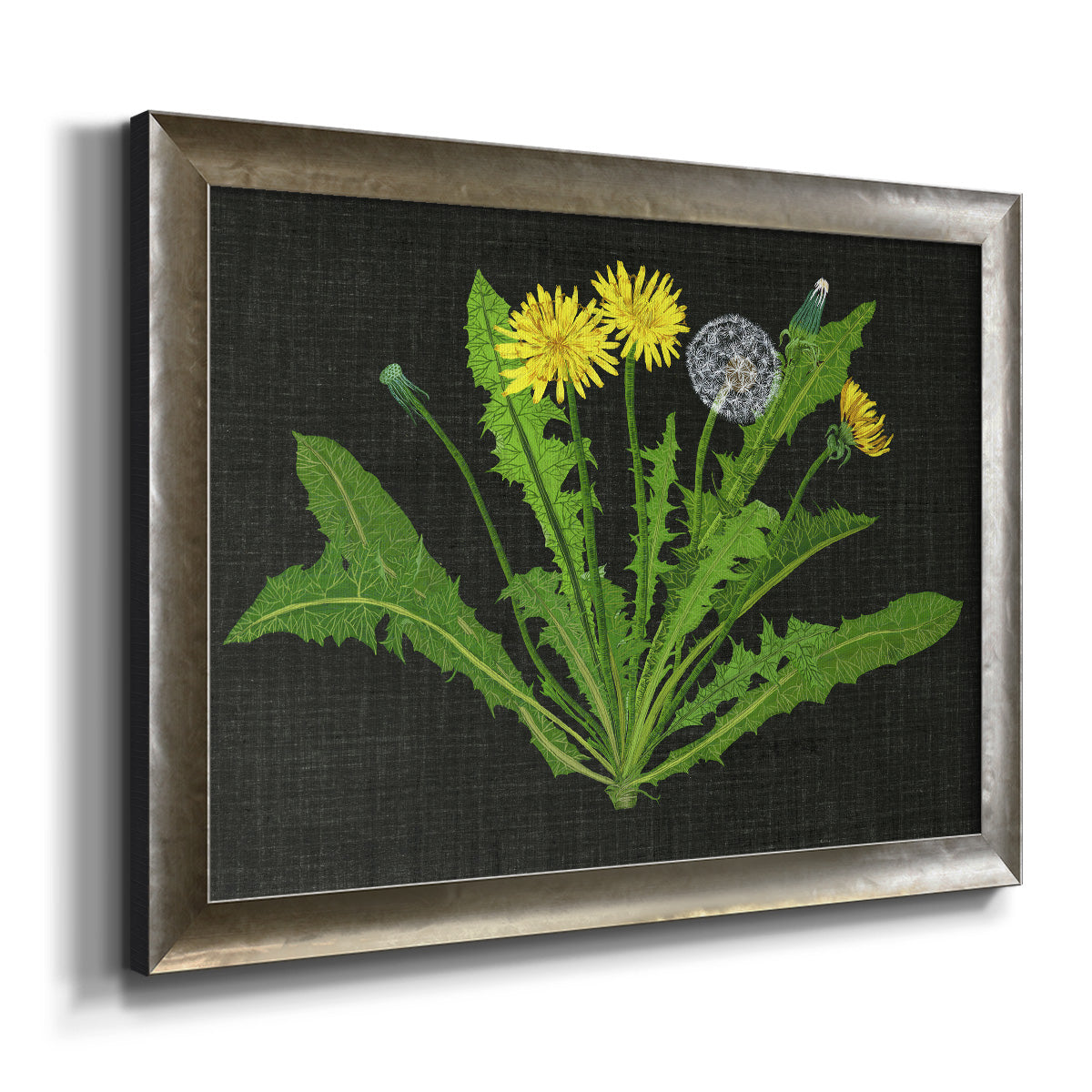 Wild Dandelion II Premium Framed Canvas- Ready to Hang